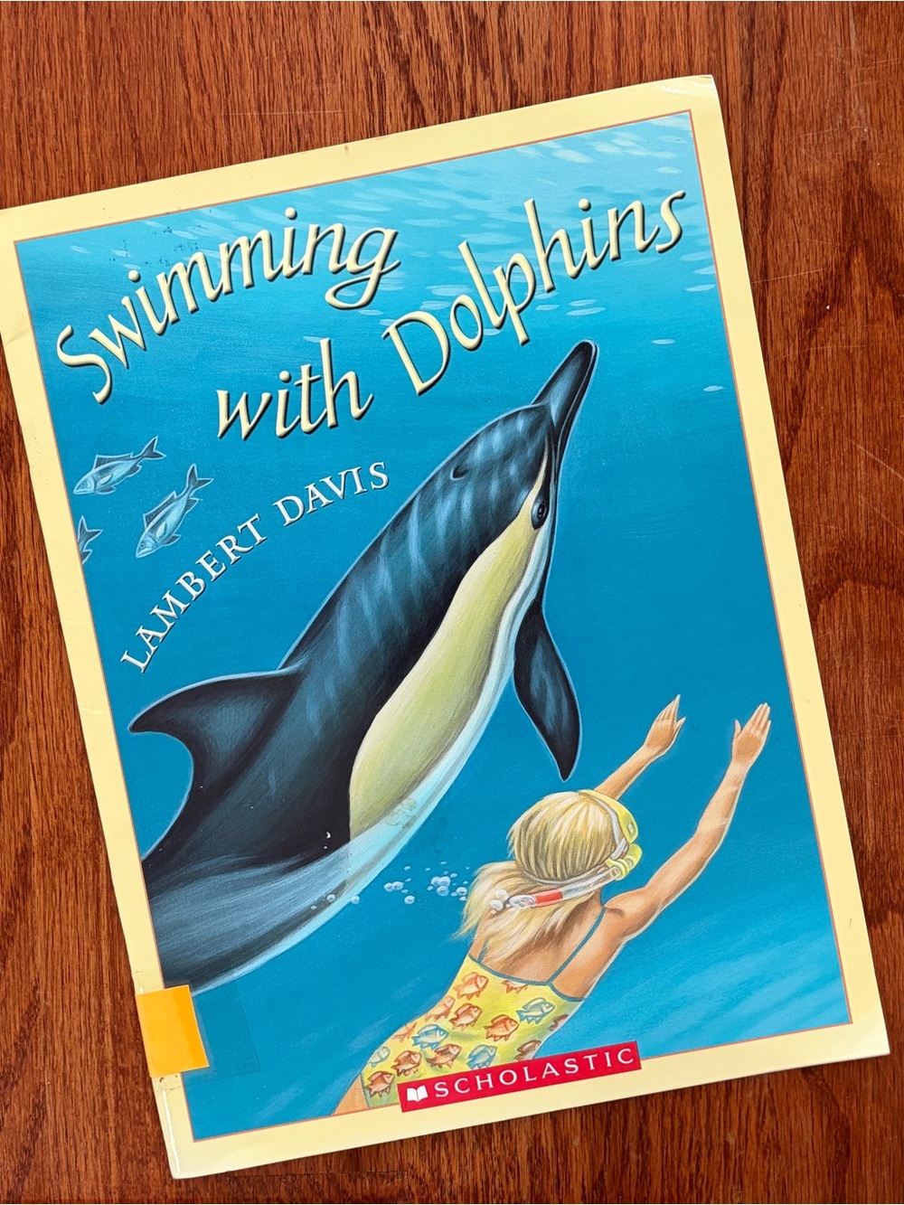Swimming with Dolphins by Lambert Davis